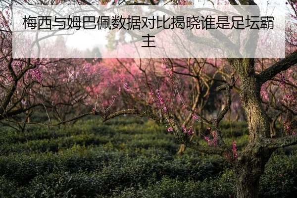 梅西与姆巴佩数据对比揭晓谁是足坛霸主